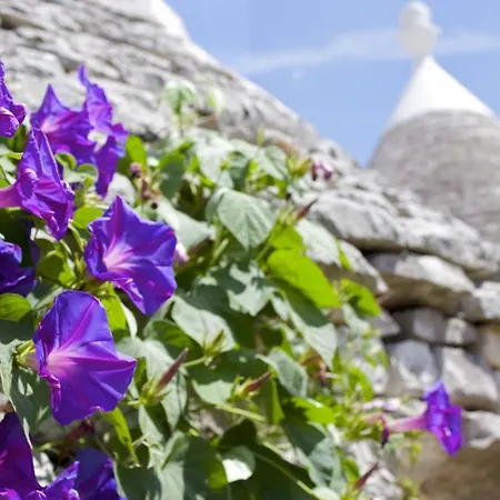 Venkovský dům Antica Aia *